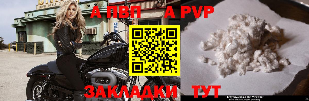 Альфа ПВП СК Избербаш