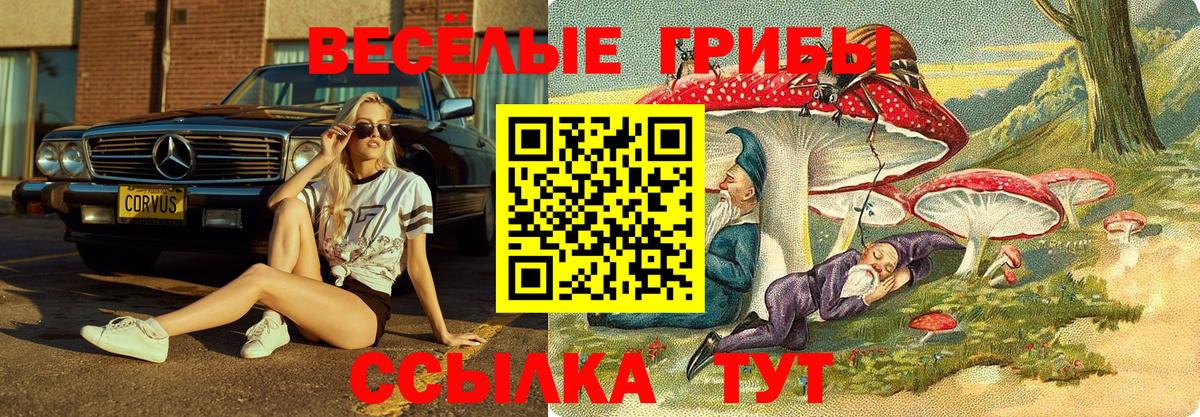 Избербаш  Галлюциногенные грибы мицелий  Псилоцибиновые грибы мухоморы  Вход с VPN 